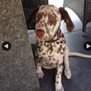 Jean-paul Box - @jeanpaulbox1 - Twitter