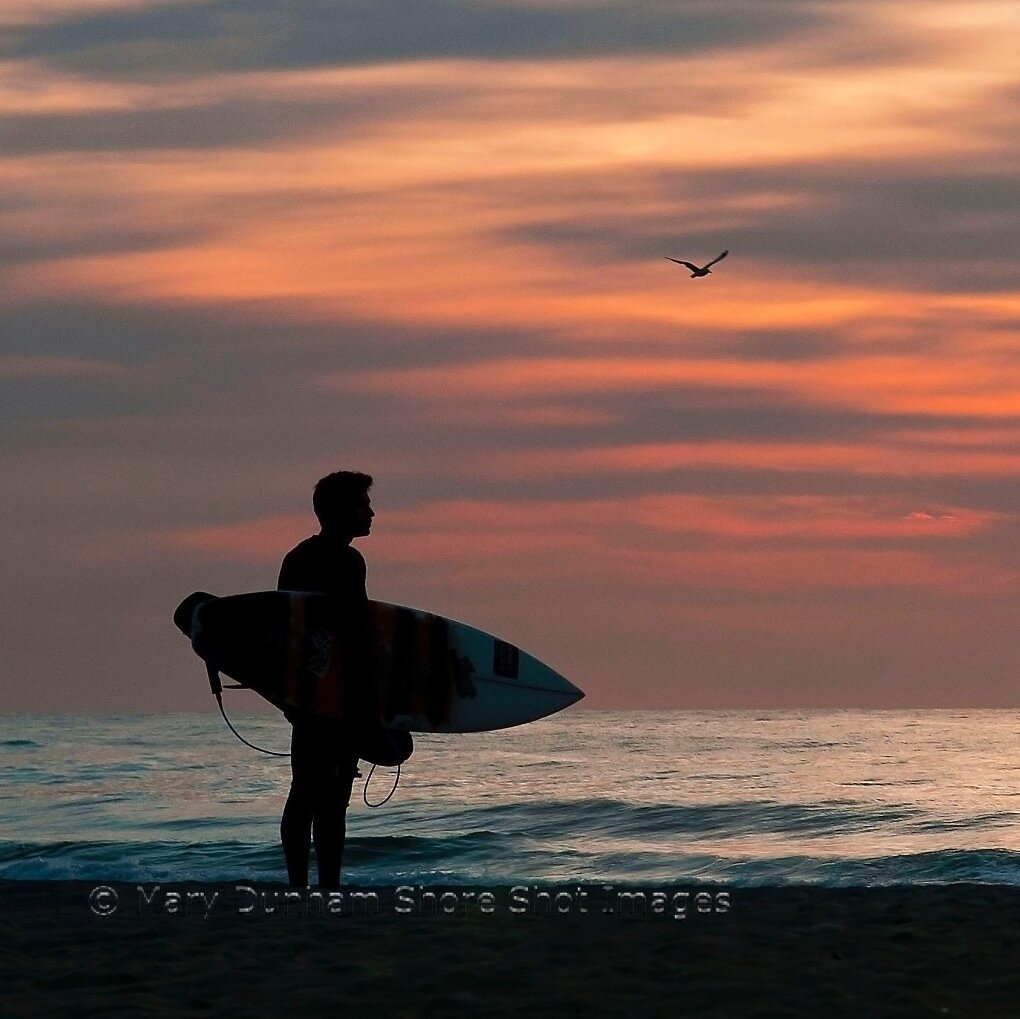 ShoreShotImages's profile picture. Photography by Mary Dunham: surf, beach, nature. Prints & canvas. FB and Instagram