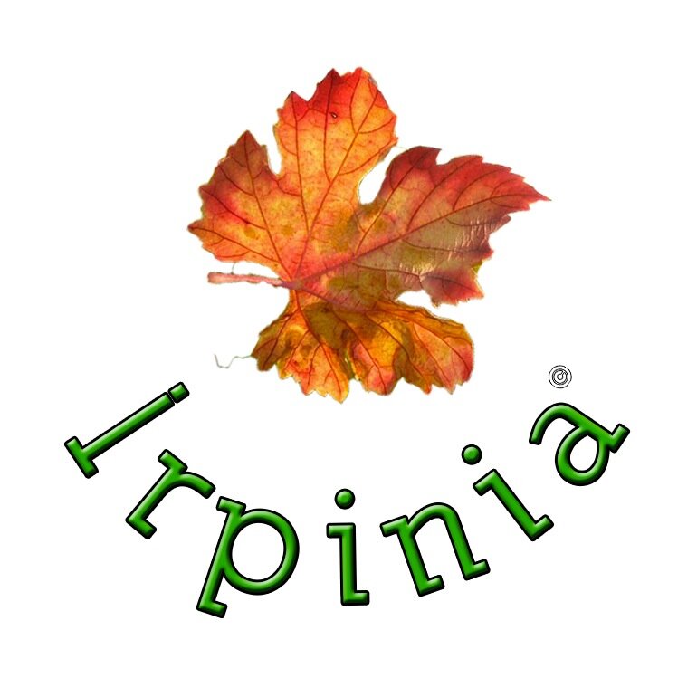 Ciao ,
è nata la pagina @hirpinia concepita per condividere e valorizzare tramite Instagram e Facebook la nostra irpinia. Siamo  baldi giovani a cui piace il