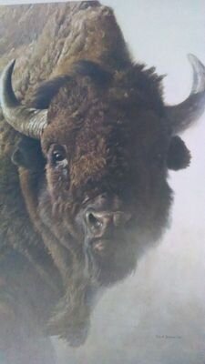 tomferris622123's profile picture. 