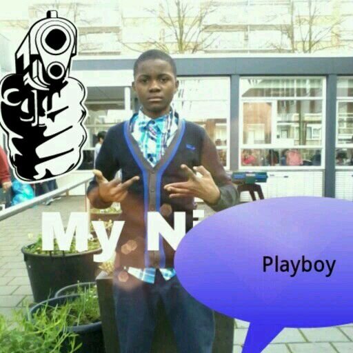 @whatsapp.nl