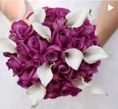 DaoudYafa's profile picture. «just Be Your Self ,and trust in your dreams an Ambitions d  » «Works @ Betty Barclay -Sales »☺