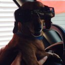 AJ Wilson - @AJWilson1091 - Twitter