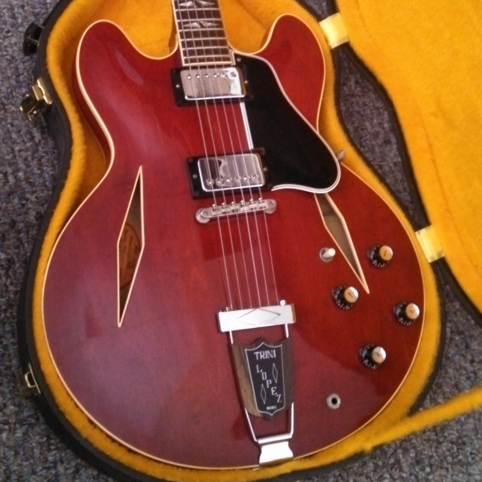 TmFrye68's profile picture. Husband, Father, Grandpa, Business Owner, Musician, Conservative, Maker of many Mistakes! and Lover of Life!!