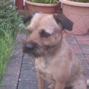 Malcolm Orr - @LLMallyO - Twitter