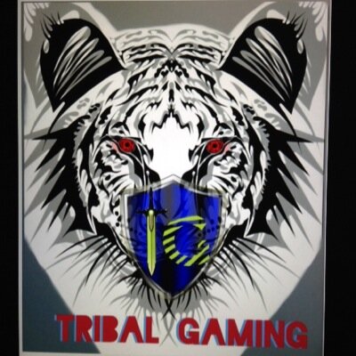 TribalxGaming's profile picture. I play competitive cal of duty on twitch with my good friends