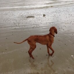 JayteaMartinez's profile picture. 