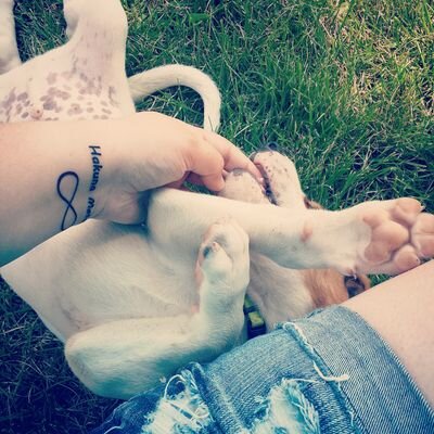 SimplyNobody's profile picture. architecture | dogs | mountains | she/her | bad humor | the dopest motherfucker ever tumbled out fallopians