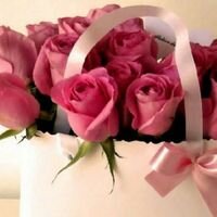 toada098's profile picture. ..... KSA ....