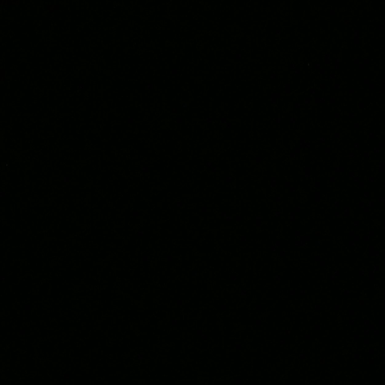 13 jaar Capellenborg 1H1