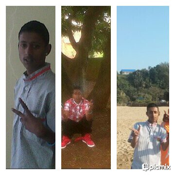 29C18331bbm