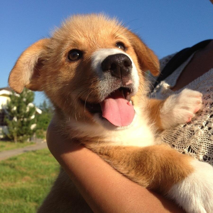 digitalflow_'s profile picture. YouTube