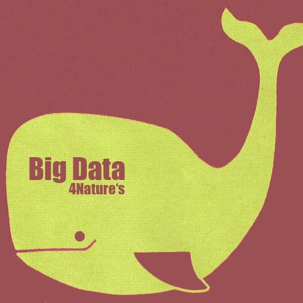 #BigData 4 Nature's