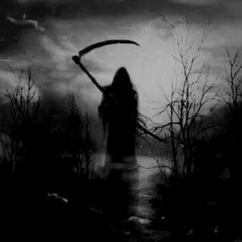 AmyAlverez1's profile picture. 