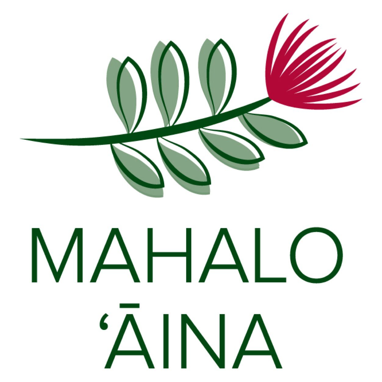 The MAHALO AINA: Give Back to the Forest program seeks to ensure a thriving future for the aina and the people of Hawaii for generations to come.