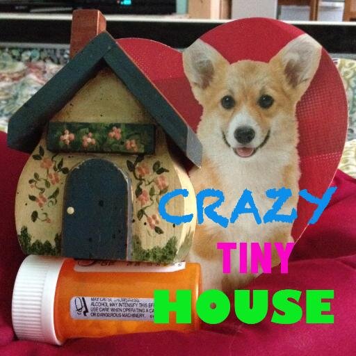 CrazyTinyHouse's profile picture. One woman's slow descent into madness . . . the laughable truth about living in a tiny house!