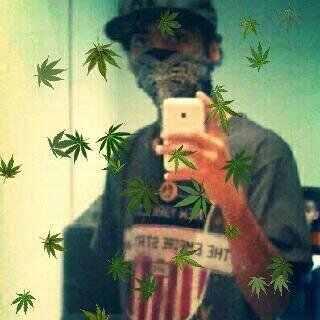 Se o mundo fosse perfeito, toda música seria reggae, todo dia faria sol, todo mar quebraria ondas, e toda fumaça faria a cabeça!!!!