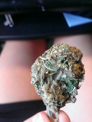 ladyfrient's profile picture. just trying to #staylifted