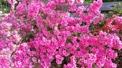 fall4her's profile picture. 