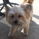 abbey reed - @abbey_r_96 - Twitter