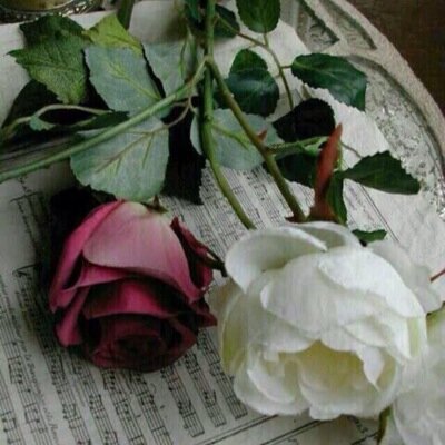 سبحان الله بحمده سبحان الله العظيم