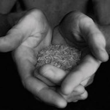 Students for Kids Without Food