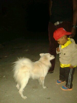 WangendoSteve's profile picture. CS Ghetto Empowerment&a manutd diehard