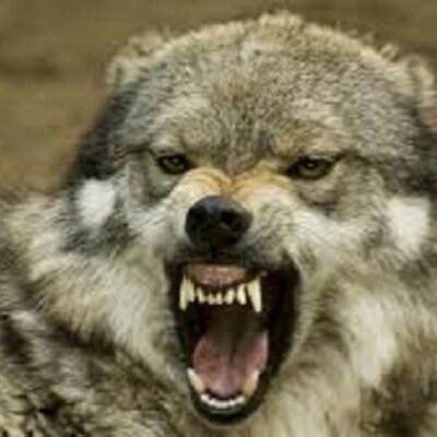 ghdcbrx's profile picture. ^_^ hi