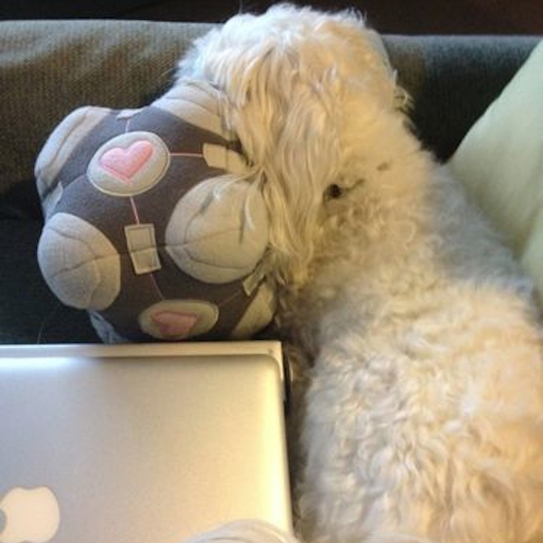 Creative wannabe. Particularly partial to red wine, meaningful conversation and small white fluffy dogs. Often found roaming the skies.
