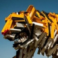 Tigerjet7's profile picture. 