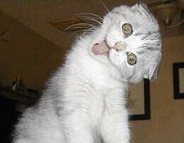 pnelson6915's profile picture. I'm known as Patricia Nelson on FB.