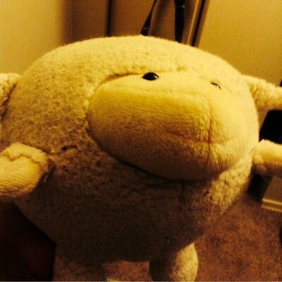 LyricalGirl01's profile picture. Aspiring Writer looking to spread my thoughts.