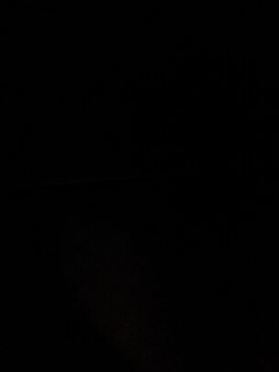 SquadFR's profile picture. 