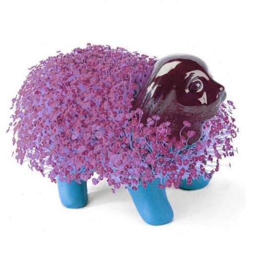 Transgender pantyhose Gay chia