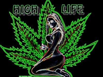 smoke weed everyday live life to fullest no regets
