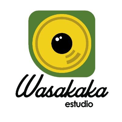 Estudio de Danza, Bailoterapia, Yoga, Fitness, clases de modelaje, Flamenco y mucho más. Próximamente Salas de ensayos y Estudio de grabación