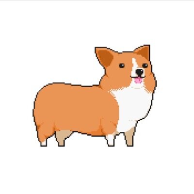 Corgi will always love you
