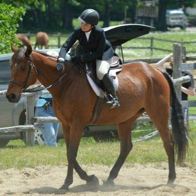 Just another equestrian girl trying to make it in the hunter world with my ottb!! Goal: 800!!!Canada bound❤ R.I.P ollie i love you forever buddy:*01/10/12:*