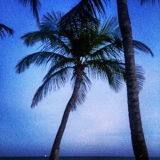 @SigsbeeSailfish