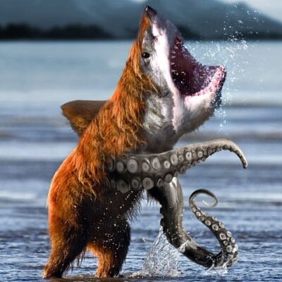 LizzaieSmith's profile picture. Hi i like unicorns, i have no life, i enjoy youtube, camping, and being awesome! Did i mention im from canada? :)