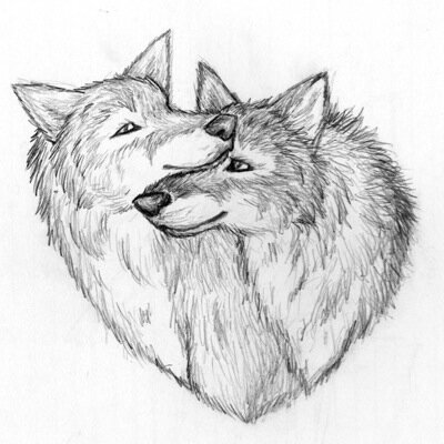 dm me nice things about the woolf pack for me to tweet. you'll stay anonymous! only kind things please ☺️ love you all!