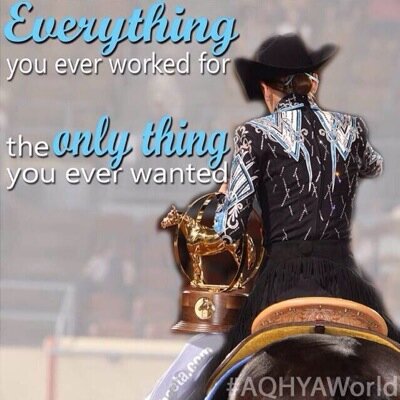 The crazy life of people who show horses.