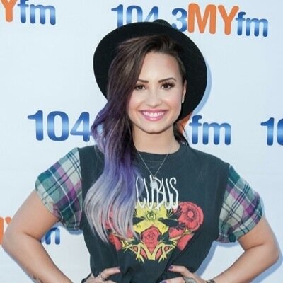 Lovatic 
Directioner
Belieber 
The huger games, Percy Jackson,Harry Potter
