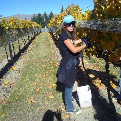 Self confessed Pinot addict. Sales & Marketing for Wooing Tree Vineyard, I travel NZ sharing wine and stories, and finding trails to try and run it all off...!