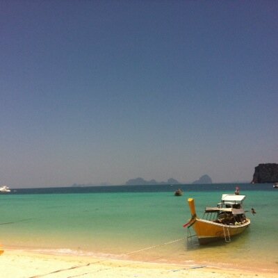 seobkk1's profile picture. 