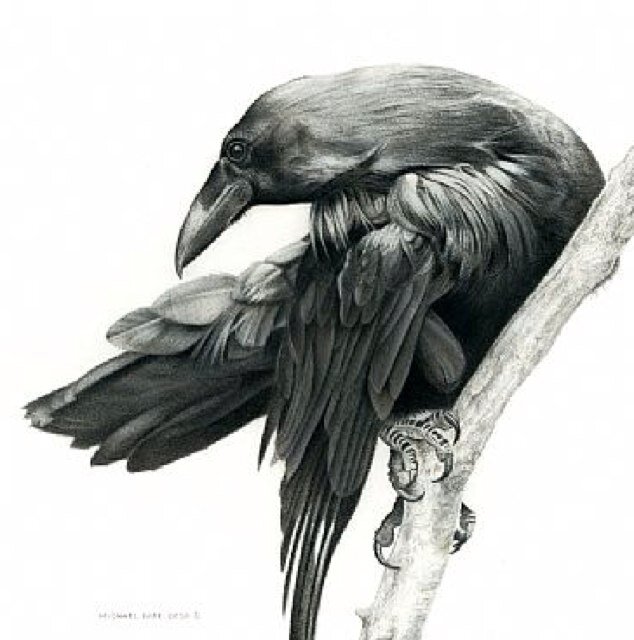 hotblondemama's profile picture. mommy to Sophie & Abbey, my sweet sunshine angels