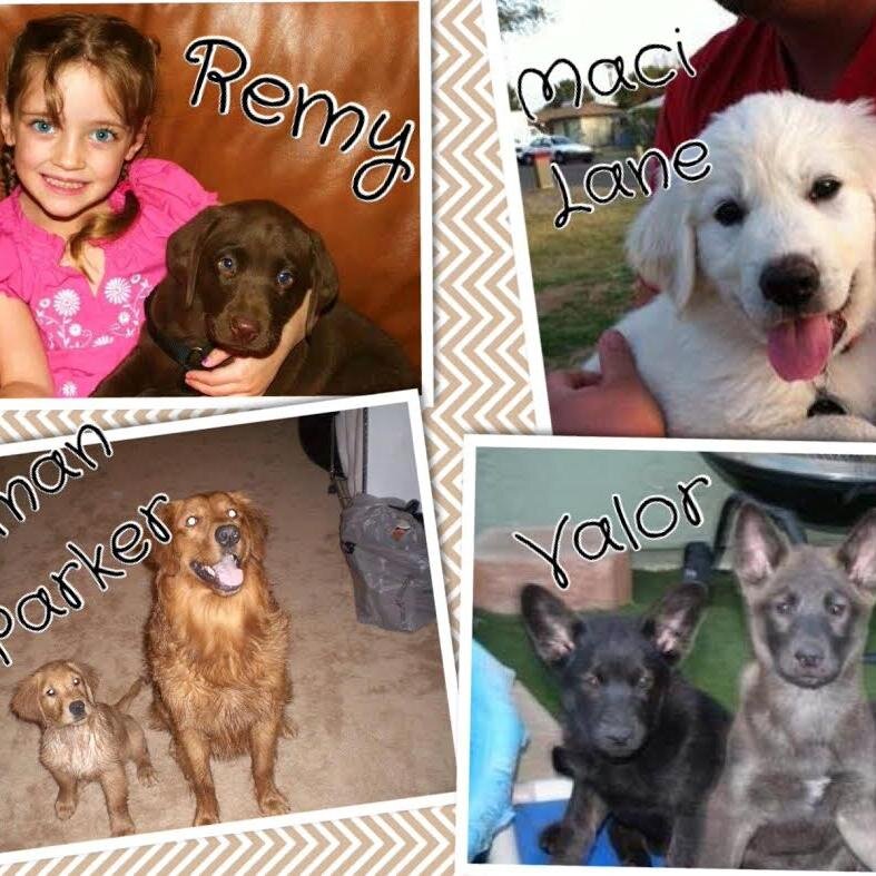 RIP23Gilbert's profile picture. Offical twitter account for the Gilbert 23 Memorial Page on Facebook. Like us on Facebook for the latest updates on the #Gilbert23.