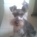 Ricardo Duncan - @dickyduncan01 - Twitter