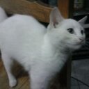 Ignacio Cous3loo. (@5bc33151f87744d) Twitter