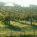 Pete Raymond - @praymond857 - Twitter